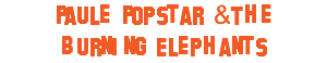 Paule Popstar &The Burning Elephants