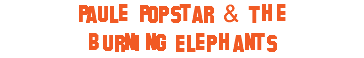 Paule Popstar & The Burning Elephants